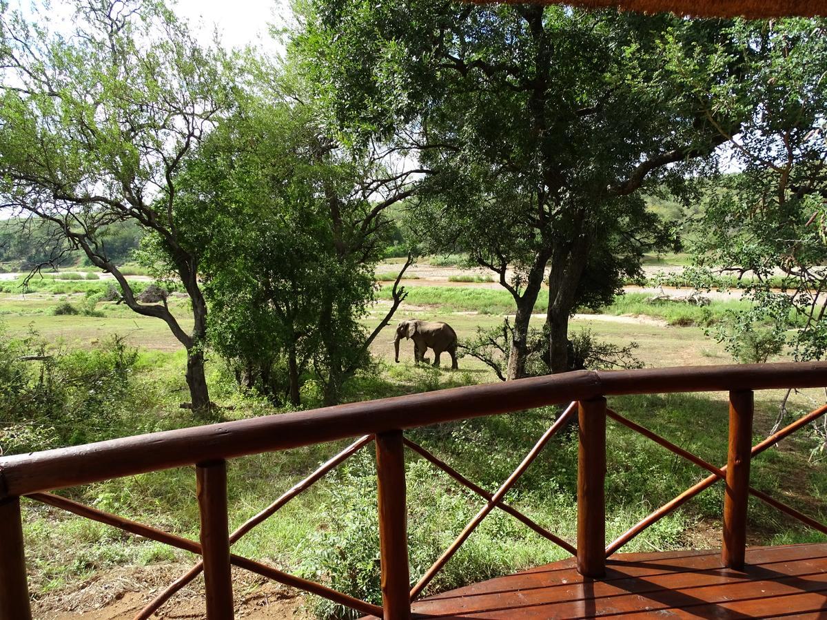 Emhosheni River Lodge بالول جيم ريسيرف المظهر الخارجي الصورة