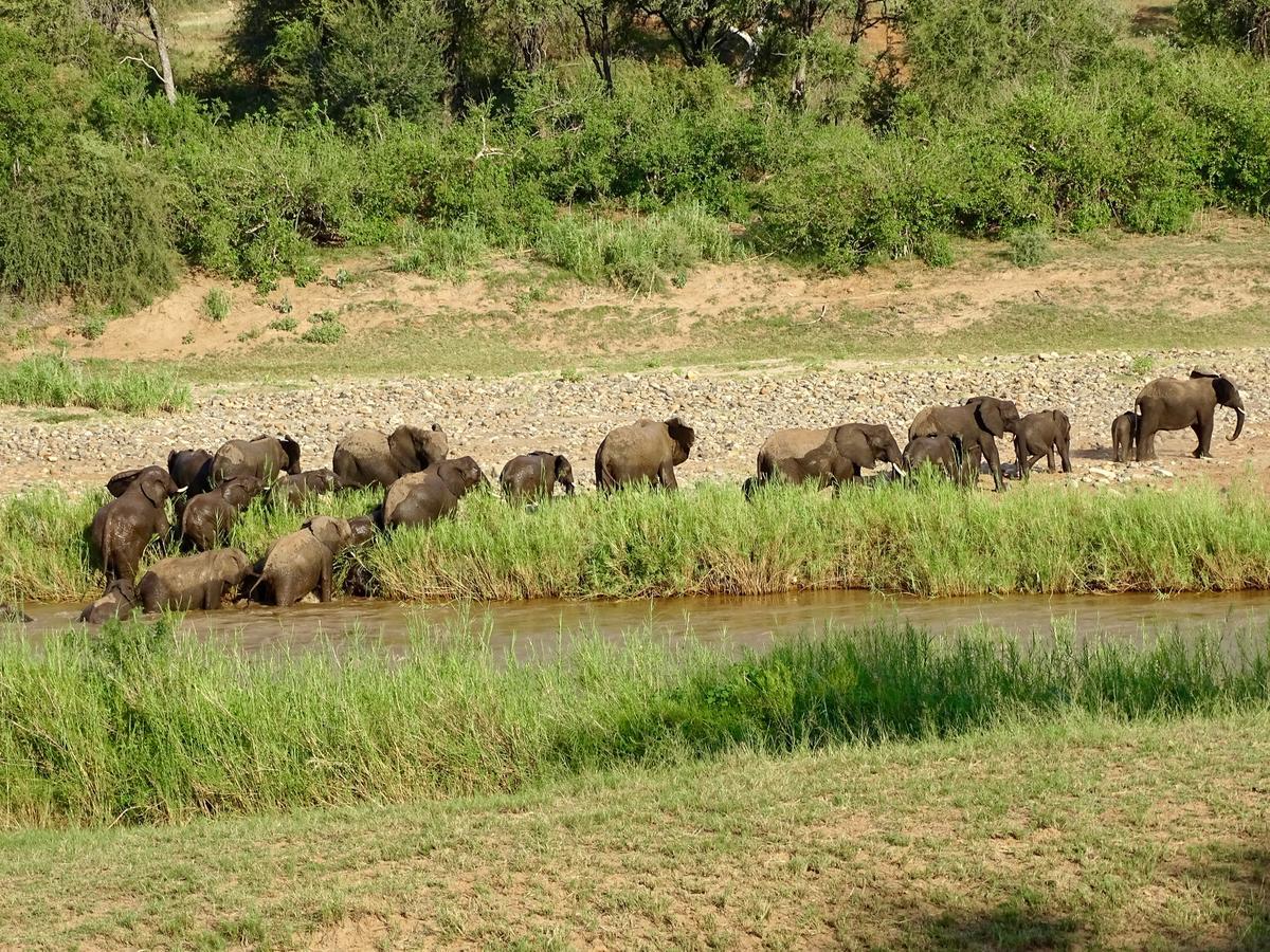 Emhosheni River Lodge بالول جيم ريسيرف المظهر الخارجي الصورة